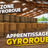 Location de Piste de gyroroue vendredi  18h à 19 h